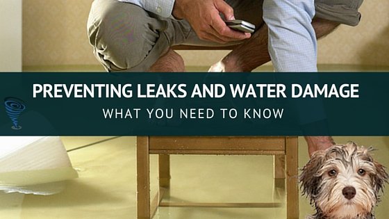 preventing leaks and water damage: what you need to know
